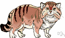 Pallas's cat - small wildcat of the mountains of Siberia and Tibet and Mongolia