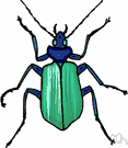 bug - general term for any insect or similar creeping or crawling invertebrate