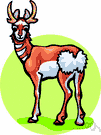 Antilocapridae - comprising only the pronghorns