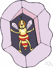 habitation - the native habitat or home of an animal or plant