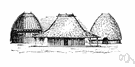 Timor - an island in Indonesia in the Malay Archipelago