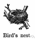 bird nest - nest where birds lay their eggs and hatch their young