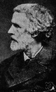 George Meredith - English novelist and poet (1828-1909)