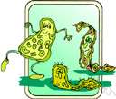 bacteriolysis - dissolution or destruction of bacteria