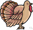 Meleagris - type genus of the Meleagrididae: wild and domestic turkeys