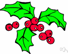 Christmasberry - spiny evergreen shrub of southeastern United States having spreading branches usually blue or mauve flowers and red berries