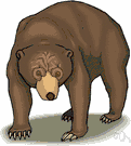 Bear - massive plantigrade carnivorous or omnivorous mammals with long shaggy coats and strong claws