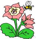 attracter - a characteristic that provides pleasure and attracts