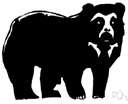 Selenarctos thibetanus - bear with a black coat living in central and eastern Asia