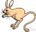 Microdipodops - kangaroo mice