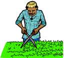 Weeder - a farmhand hired to remove weeds
