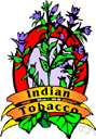 tobacco - aromatic annual or perennial herbs and shrubs