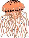 medusoid - relating to or resembling a medusa