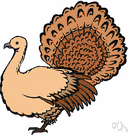 gallinacean - heavy-bodied largely ground-feeding domestic or game birds