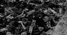 Belsen - a Nazi concentration camp for Jews created in northwestern Germany during World War II