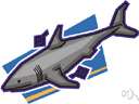 genus Isurus