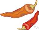 jalapeno pepper - hot green or red pepper of southwestern United States and Mexico