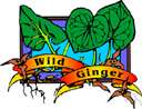 family Aristolochiaceae - family of birthworts (including wild ginger)