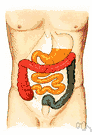 antiflatulent - any agent that reduces intestinal gas