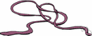 Windsor knot - a wide triangular slipknot for tying a tie