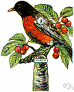 bird cherry tree - any of several small-fruited cherry trees frequented or fed on by birds