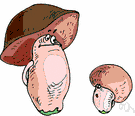 fungi - the taxonomic kingdom including yeast, molds, smuts, mushrooms, and toadstools