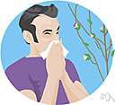 allergy - hypersensitivity reaction to a particular allergen