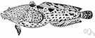 toadfish - bottom-dwelling fish having scaleless slimy skin and a broad thick head with a wide mouth