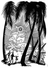 Indian potato - very tall American perennial of central and the eastern United States to Canada having edible tuberous roots