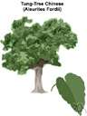 Chinese wood oil - a yellow oil obtained from the seeds of the tung tree
