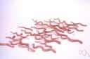parasiticidal - capable of expelling or destroying parasitic worms