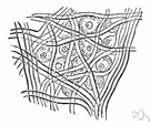 otic ganglion - an autonomic ganglion whose postganglionic fibers are distributed to the parotid gland