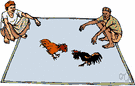cockfight - a match in a cockpit between two fighting cocks heeled with metal gaffs
