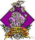 German chamomile - annual Eurasian herb similar in fragrance and medicinal uses to chamomile though taste is more bitter and effect is considered inferior
