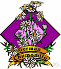 sweet false chamomile - annual Eurasian herb similar in fragrance and medicinal uses to chamomile though taste is more bitter and effect is considered inferior
