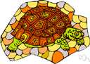 gopher tortoise - burrowing edible land tortoise of southeastern North America