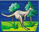 tree wallaby