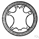 transdermal patch - a medicated adhesive pad placed on the skin for absorption of a time released dose of medication into the bloodstream