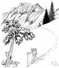 North Cascades National Park - a national park in Washington that is an alpine wilderness area featuring gold rush and logging campsites
