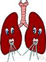 aerophilic - depending on free oxygen or air