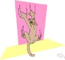scratching