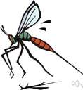 Manson - Scottish physician who discovered that elephantiasis is spread by mosquitos and suggested that mosquitos also spread malaria (1844-1922)