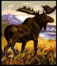 elk - large northern deer with enormous flattened antlers in the male
