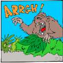 Gorilla gorilla
