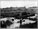 peat bog - wet spongy ground of decomposing vegetation