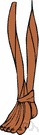 tibialis muscle - either of two skeletal muscle in each leg arising from the tibia