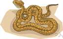 whipsnake