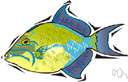 triggerfish - any of numerous compressed deep-bodied tropical fishes with sandpapery skin and erectile spines in the first dorsal fin