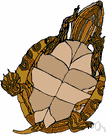 underbody - the soft belly or underside of an animal's body