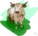 range animal - any animal that lives and grazes in the grassy open land of western North America (especially horses, cattle, sheep)